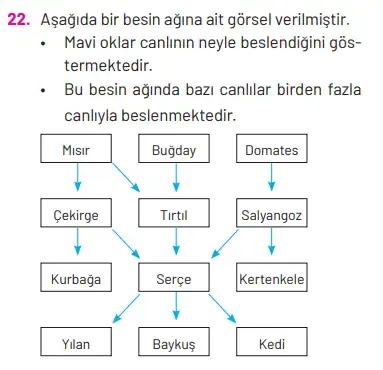 8. Sınıf Fen Bilimleri Ders Kitabı Sayfa 270 Cevapları Hecce Yayıncılık1 8. Sınıf Fen Bilimleri Ders Kitabı Sayfa 270 Cevapları Hecce Yayıncılık1