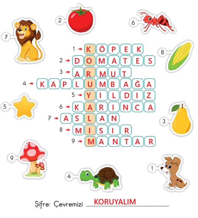 3. Sınıf Hayat Bilgisi Ders Kitabı Sayfa 184 Cevapları SDR İpekyolu Yayıncılık 3. Sınıf Hayat Bilgisi Ders Kitabı Sayfa 184 Cevapları SDR İpekyolu Yayıncılık