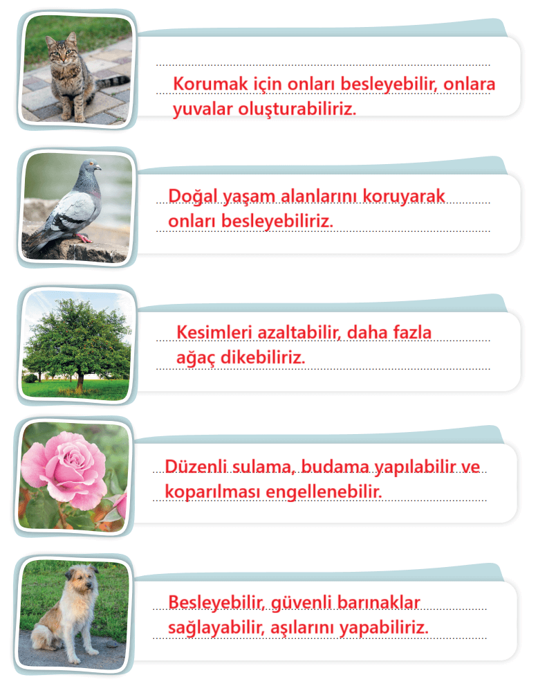 3. Sınıf Hayat Bilgisi Ders Kitabı Sayfa 187 Cevapları SDR İpekyolu Yayıncılık 3. Sınıf Hayat Bilgisi Ders Kitabı Sayfa 187 Cevapları SDR İpekyolu Yayıncılık