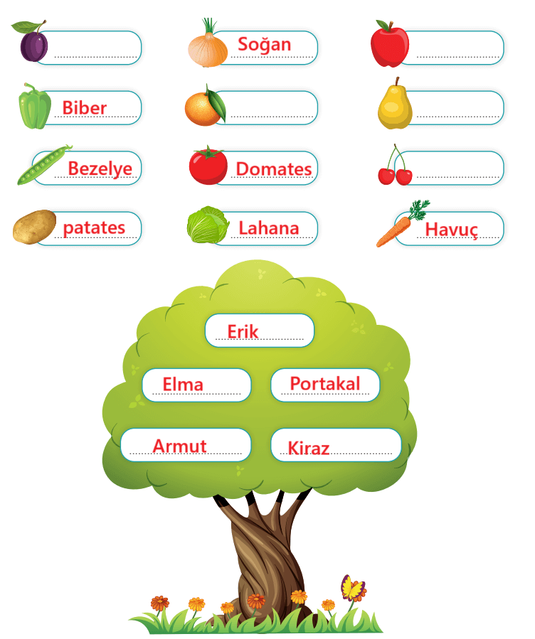 3. Sınıf Hayat Bilgisi Ders Kitabı Sayfa 190 Cevapları SDR İpekyolu Yayıncılık 3. Sınıf Hayat Bilgisi Ders Kitabı Sayfa 190 Cevapları SDR İpekyolu Yayıncılık