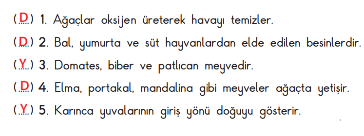 3. Sınıf Hayat Bilgisi Ders Kitabı Sayfa 208 Cevapları SDR İpekyolu Yayıncılık 3. Sınıf Hayat Bilgisi Ders Kitabı Sayfa 208 Cevapları SDR İpekyolu Yayıncılık