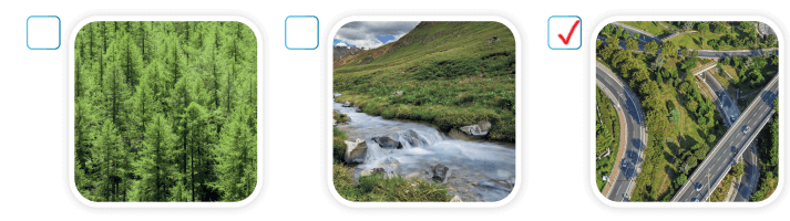 3. Sınıf Hayat Bilgisi Ders Kitabı Sayfa 209 Cevapları SDR İpekyolu Yayıncılık 3. Sınıf Hayat Bilgisi Ders Kitabı Sayfa 209 Cevapları SDR İpekyolu Yayıncılık