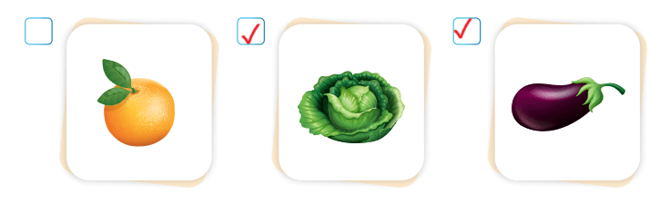 3. Sınıf Hayat Bilgisi Ders Kitabı Sayfa 209 Cevapları SDR İpekyolu Yayıncılık 3. Sınıf Hayat Bilgisi Ders Kitabı Sayfa 209 Cevapları SDR İpekyolu Yayıncılık