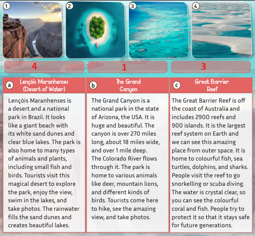 5. Sınıf İngilizce Ders Kitabı Sayfa 136 Cevapları MEB Yayınları