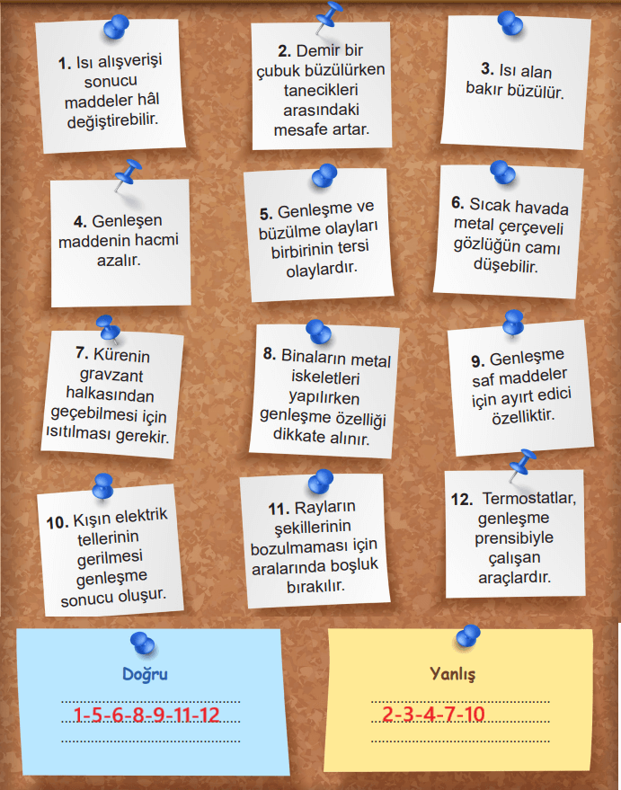 6. Sınıf Fen Bilimleri Ders Kitabı Sayfa 25 Cevapları MEB Yayınları 6. Sınıf Fen Bilimleri Ders Kitabı Sayfa 25 Cevapları MEB Yayınları