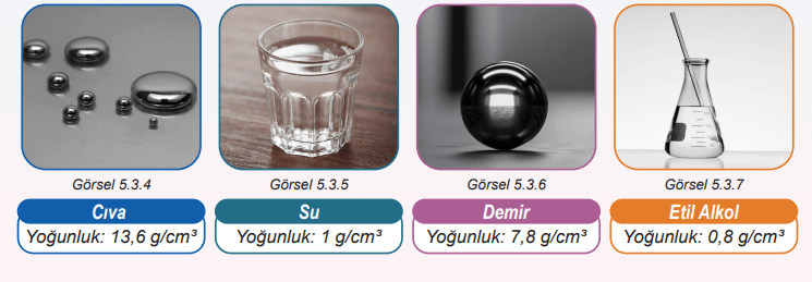 6. Sınıf Fen Bilimleri Ders Kitabı Sayfa 46 Cevapları MEB Yayınları 6. Sınıf Fen Bilimleri Ders Kitabı Sayfa 46 Cevapları MEB Yayınları