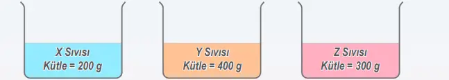 6. Sınıf Fen Bilimleri Ders Kitabı Sayfa 52 Cevapları MEB Yayınları 6. Sınıf Fen Bilimleri Ders Kitabı Sayfa 52 Cevapları MEB Yayınları