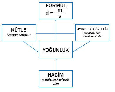 6. Sınıf Fen Bilimleri Ders Kitabı Sayfa 53 Cevapları MEB Yayınları