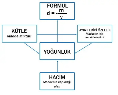 6. Sınıf Fen Bilimleri Ders Kitabı Sayfa 53 Cevapları MEB Yayınları 6. Sınıf Fen Bilimleri Ders Kitabı Sayfa 53 Cevapları MEB Yayınları