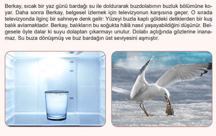 6. Sınıf Fen Bilimleri Ders Kitabı Sayfa 62 Cevapları MEB Yayınları