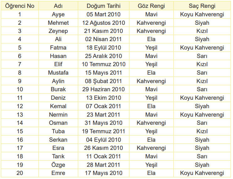6. Sınıf Matematik Ders Kitabı Sayfa 217 Cevapları MEB Yayınları