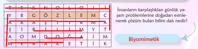 6. Sınıf Türkçe Ders Kitabı Sayfa 86 Cevapları MEB Yayınları 6. Sınıf Türkçe Ders Kitabı Sayfa 86 Cevapları MEB Yayınları