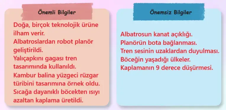 6. Sınıf Türkçe Ders Kitabı Sayfa 87 Cevapları MEB Yayınları 6. Sınıf Türkçe Ders Kitabı Sayfa 87 Cevapları MEB Yayınları