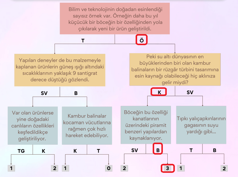 6. Sınıf Türkçe Ders Kitabı Sayfa 88 Cevapları MEB Yayınları 6. Sınıf Türkçe Ders Kitabı Sayfa 88 Cevapları MEB Yayınları