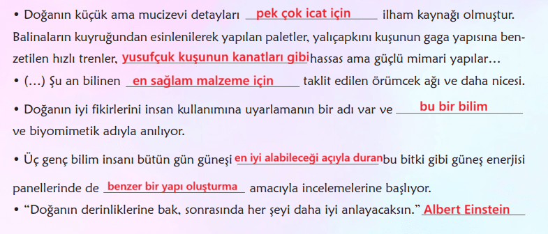 6. Sınıf Türkçe Ders Kitabı Sayfa 89 Cevapları MEB Yayınları 6. Sınıf Türkçe Ders Kitabı Sayfa 89 Cevapları MEB Yayınları