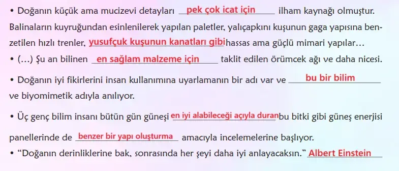 6. Sınıf Türkçe Ders Kitabı Sayfa 89 Cevapları MEB Yayınları 6. Sınıf Türkçe Ders Kitabı Sayfa 89 Cevapları MEB Yayınları