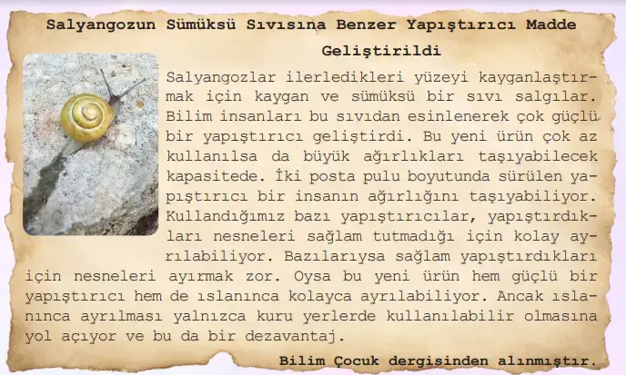 6. Sınıf Türkçe Ders Kitabı Sayfa 90 Cevapları MEB Yayınları 6. Sınıf Türkçe Ders Kitabı Sayfa 90 Cevapları MEB Yayınları