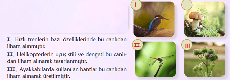 6. Sınıf Türkçe Ders Kitabı Sayfa 92 Cevapları MEB Yayınları 6. Sınıf Türkçe Ders Kitabı Sayfa 92 Cevapları MEB Yayınları