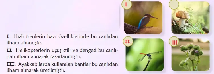 6. Sınıf Türkçe Ders Kitabı Sayfa 92 Cevapları MEB Yayınları 6. Sınıf Türkçe Ders Kitabı Sayfa 92 Cevapları MEB Yayınları