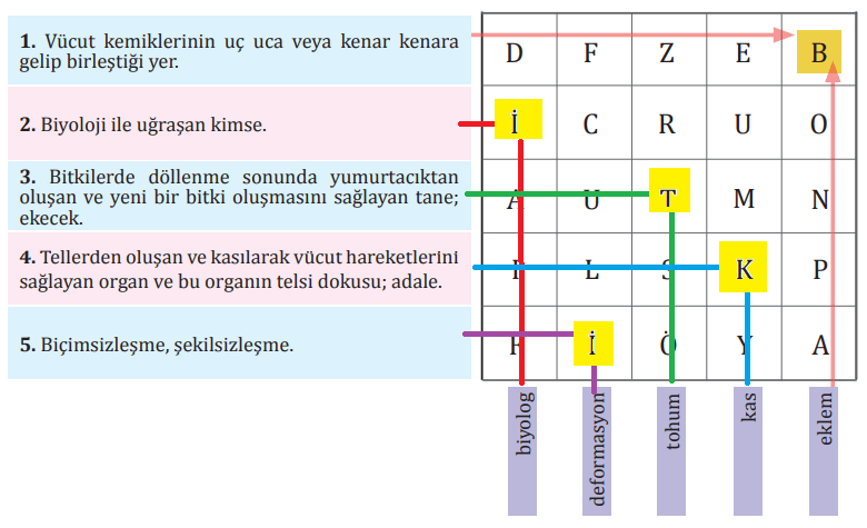 8. Sınıf Türkçe Ders Kitabı Sayfa 175 Cevapları MEB Yayınları