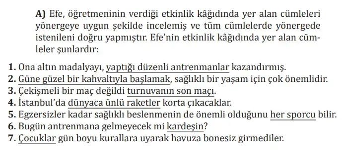 8. Sınıf Türkçe Ders Kitabı Sayfa 209 Cevapları MEB Yayınları