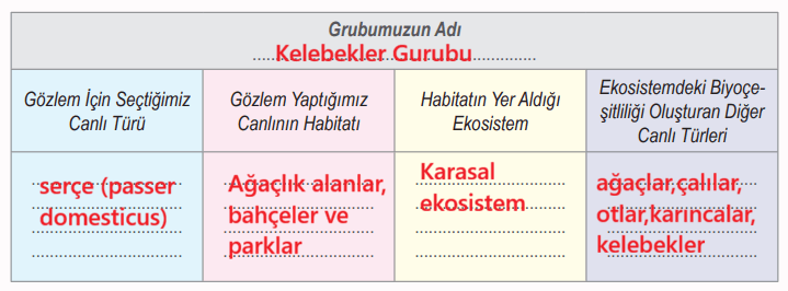 6. Sınıf Fen Bilimleri Ders Kitabı Sayfa 101 Cevapları MEB Yayınları