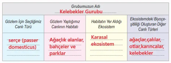 6. Sınıf Fen Bilimleri Ders Kitabı Sayfa 101 Cevapları MEB Yayınları 6. Sınıf Fen Bilimleri Ders Kitabı Sayfa 101 Cevapları MEB Yayınları