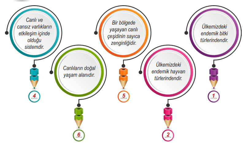 6. Sınıf Fen Bilimleri Ders Kitabı Sayfa 107 Cevapları MEB Yayınları