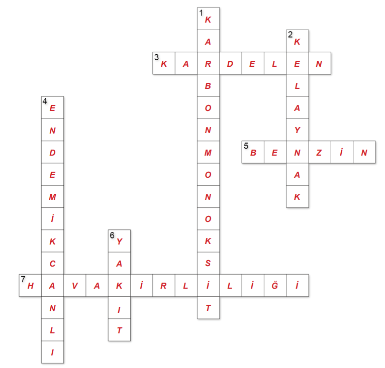 6. Sınıf Fen Bilimleri Ders Kitabı Sayfa 123 Cevapları MEB Yayınları