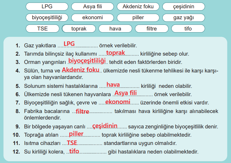 6. Sınıf Fen Bilimleri Ders Kitabı Sayfa 125 Cevapları MEB Yayınları
