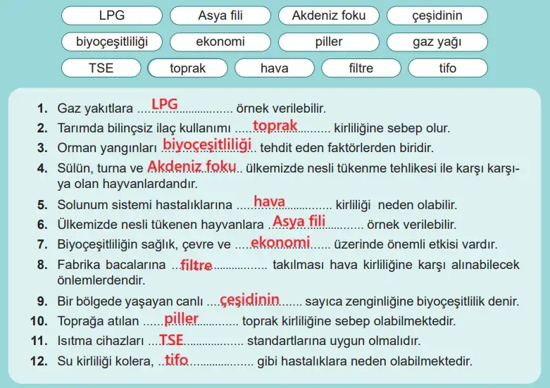 6. Sınıf Fen Bilimleri Ders Kitabı Sayfa 125 Cevapları MEB Yayınları 6. Sınıf Fen Bilimleri Ders Kitabı Sayfa 125 Cevapları MEB Yayınları