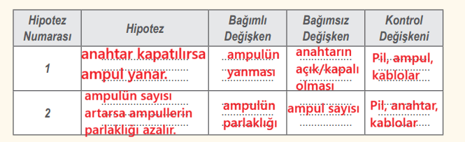 6. Sınıf Fen Bilimleri Ders Kitabı Sayfa 67 Cevapları MEB Yayınları 6. Sınıf Fen Bilimleri Ders Kitabı Sayfa 67 Cevapları MEB Yayınları