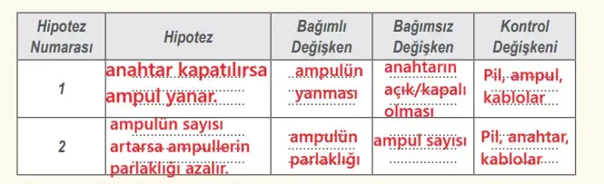 6. Sınıf Fen Bilimleri Ders Kitabı Sayfa 67 Cevapları MEB Yayınları 6. Sınıf Fen Bilimleri Ders Kitabı Sayfa 67 Cevapları MEB Yayınları