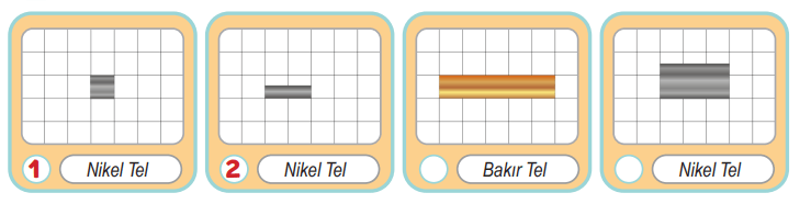 6. Sınıf Fen Bilimleri Ders Kitabı Sayfa 80 Cevapları MEB Yayınları 6. Sınıf Fen Bilimleri Ders Kitabı Sayfa 80 Cevapları MEB Yayınları