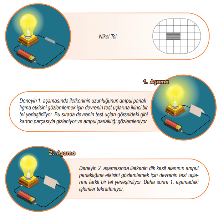 6. Sınıf Fen Bilimleri Ders Kitabı Sayfa 80 Cevapları MEB Yayınları 6. Sınıf Fen Bilimleri Ders Kitabı Sayfa 80 Cevapları MEB Yayınları