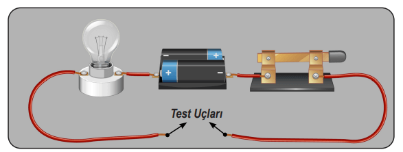 6. Sınıf Fen Bilimleri Ders Kitabı Sayfa 83 Cevapları MEB Yayınları 6. Sınıf Fen Bilimleri Ders Kitabı Sayfa 83 Cevapları MEB Yayınları
