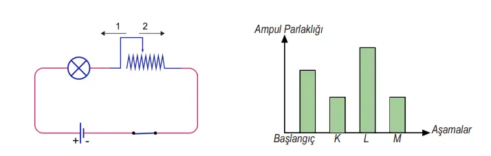 6. Sınıf Fen Bilimleri Ders Kitabı Sayfa 90 Cevapları MEB Yayınları 6. Sınıf Fen Bilimleri Ders Kitabı Sayfa 90 Cevapları MEB Yayınları