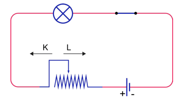 6. Sınıf Fen Bilimleri Ders Kitabı Sayfa 91 Cevapları MEB Yayınları 6. Sınıf Fen Bilimleri Ders Kitabı Sayfa 91 Cevapları MEB Yayınları