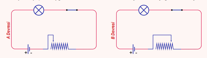 6. Sınıf Fen Bilimleri Ders Kitabı Sayfa 95 Cevapları MEB Yayınları