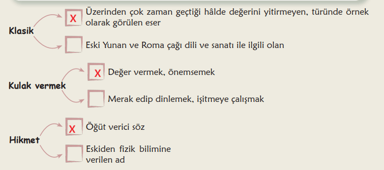 6. Sınıf Türkçe Ders Kitabı Sayfa 124 Cevapları MEB Yayınları