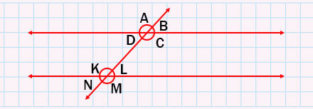6. Sınıf Matematik Ders Kitabı Sayfa 14 Cevapları MEB Yayınları 6. Sınıf Matematik Ders Kitabı Sayfa 14 Cevapları MEB Yayınları