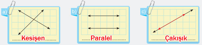 6. Sınıf Matematik Ders Kitabı Sayfa 14 Cevapları MEB Yayınları 6. Sınıf Matematik Ders Kitabı Sayfa 14 Cevapları MEB Yayınları