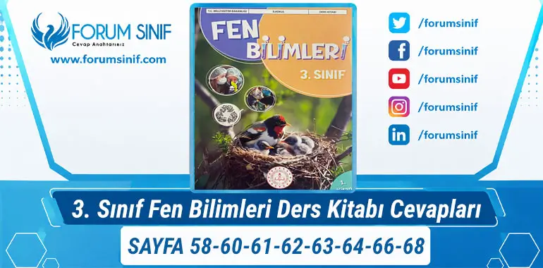 3. Sınıf Fen Bilimleri Ders Kitabı Sayfa 58-60-61-62-63-64-66-68 Cevapları 1. KİTAP 3. Sınıf Fen Bilimleri Ders Kitabı Sayfa 58-60-61-62-63-64-66-68 Cevapları 1. KİTAP