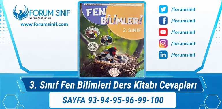 3. Sınıf Fen Bilimleri Ders Kitabı Sayfa 93-94-95-96-99-100 Cevapları 1. KİTAP
