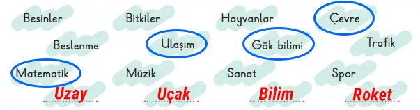 3. Sınıf Fen Bilimleri Ders Kitabı Sayfa 17 Cevapları MEB Yayınları 3. Sınıf Fen Bilimleri Ders Kitabı Sayfa 17 Cevapları MEB Yayınları