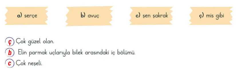 3. Sınıf Türkçe Ders Kitabı Sayfa 34 Cevapları MEB Yayınları 3. Sınıf Türkçe Ders Kitabı Sayfa 34 Cevapları MEB Yayınları