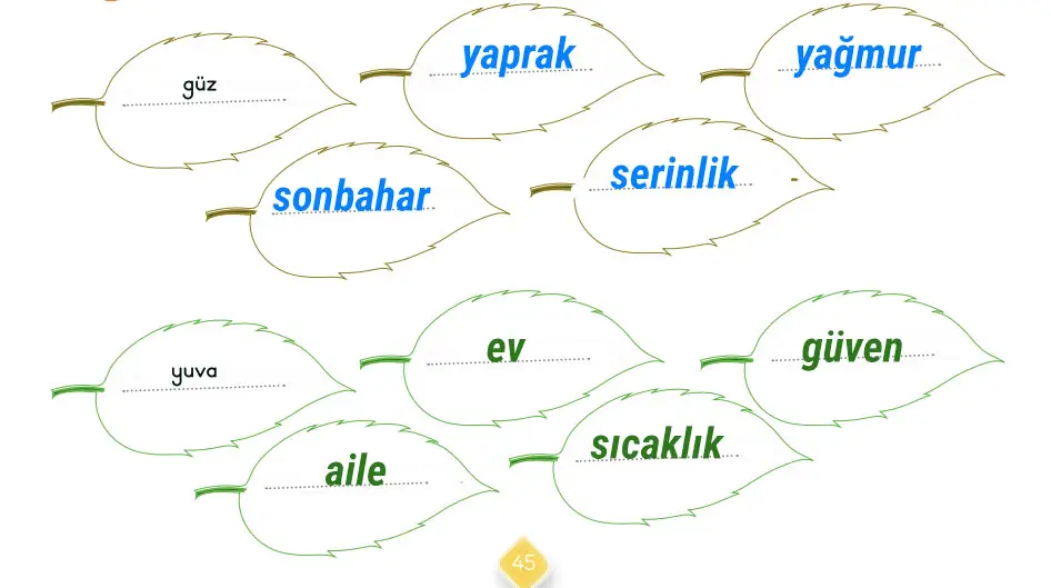 3. Sınıf Türkçe Ders Kitabı Sayfa 45 Cevapları MEB Yayınları 3. Sınıf Türkçe Ders Kitabı Sayfa 45 Cevapları MEB Yayınları