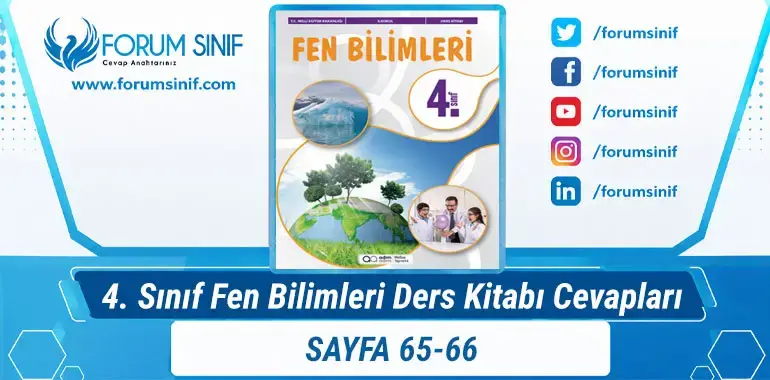 4. Sınıf Fen Bilimleri Ders Kitabı Sayfa 65-66. Cevapları Adım Adım Yayıncılık
