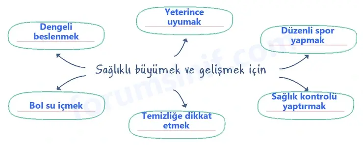 2. Sınıf Hayat Bilgisi Sayfa 48 Cevapları 1. Kitap 2. Sınıf Hayat Bilgisi Sayfa 48 Cevapları 1. Kitap