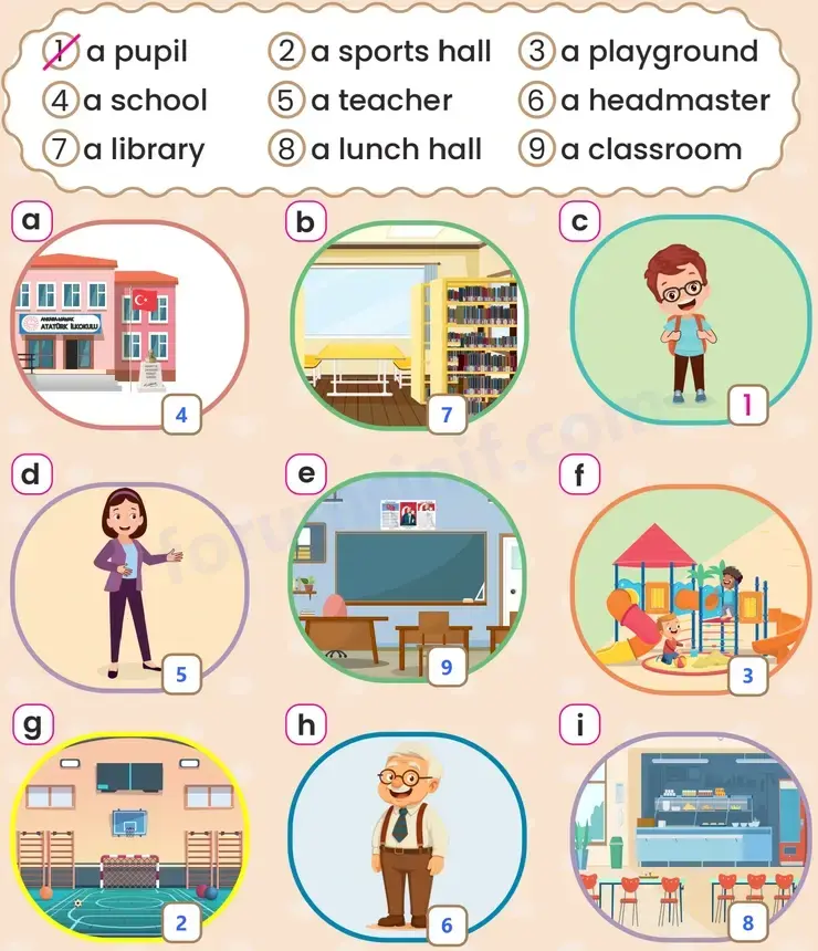 2. Sınıf İngilizce Ders Kitabı Sayfa 16 Cevapları